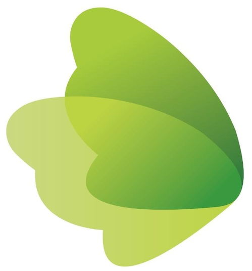 南京乡宝网络科技 深耕网络技术，赋能乡村振兴与数字化转型