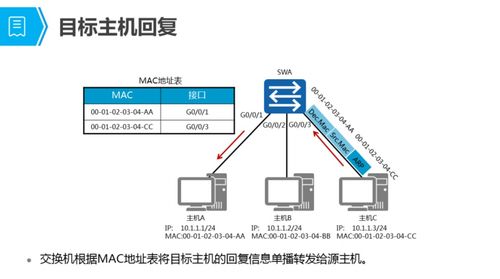 网络交换技术与网络信息服务的协同发展探究